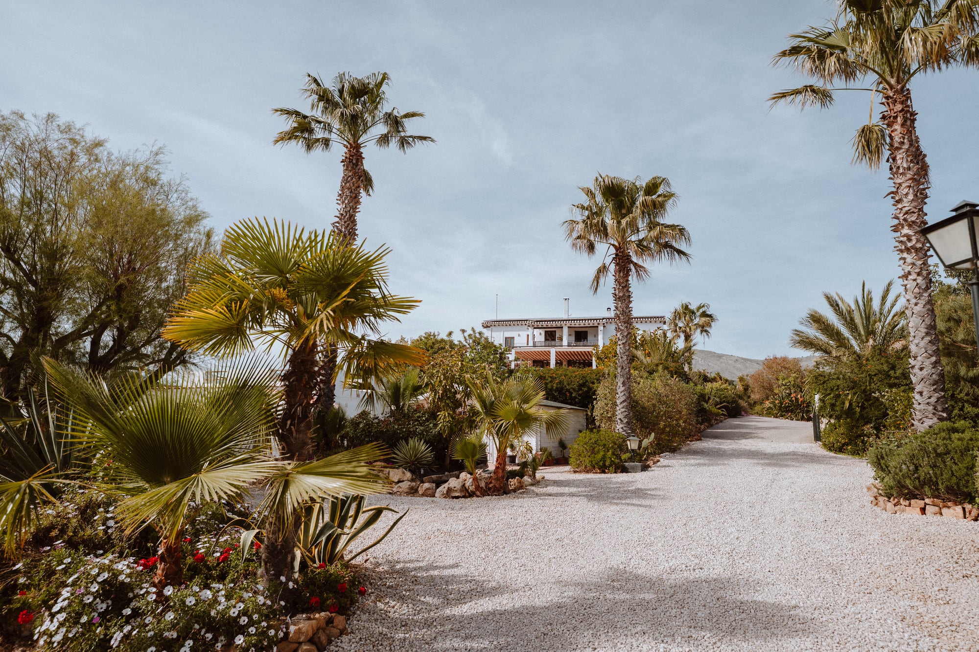 Wedding at Finca Cantueso 5